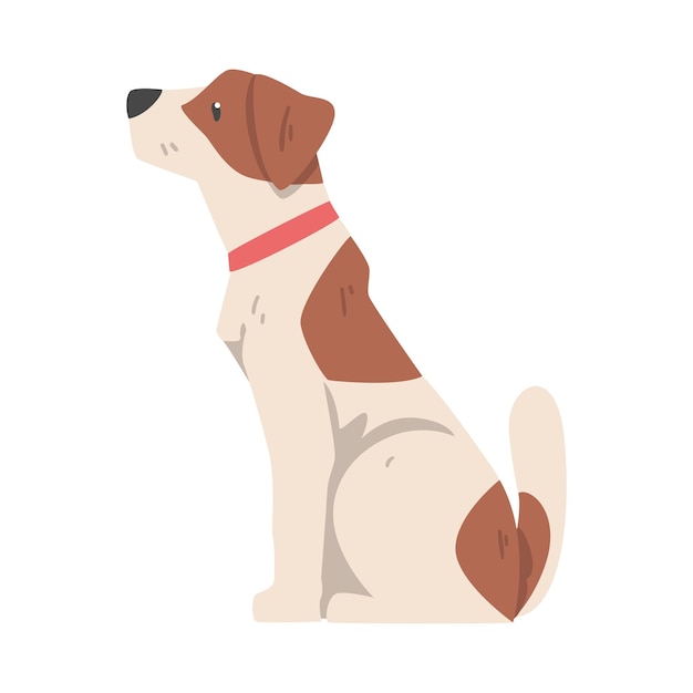 Vista lateral de Jack Russell Terrier sentado Animales de compañía con pelaje marrón y blanco Ilustración vectorial de dibujos animados