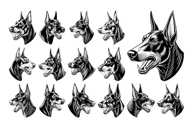 Vista lateral del perfil del conjunto vectorial de diseño de la cabeza del perro de doberman