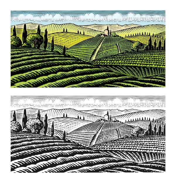 Vector vista panorámica de los campos de viñedos y colinas de la toscana panorámica de la plantación de vid en el chianti francés o