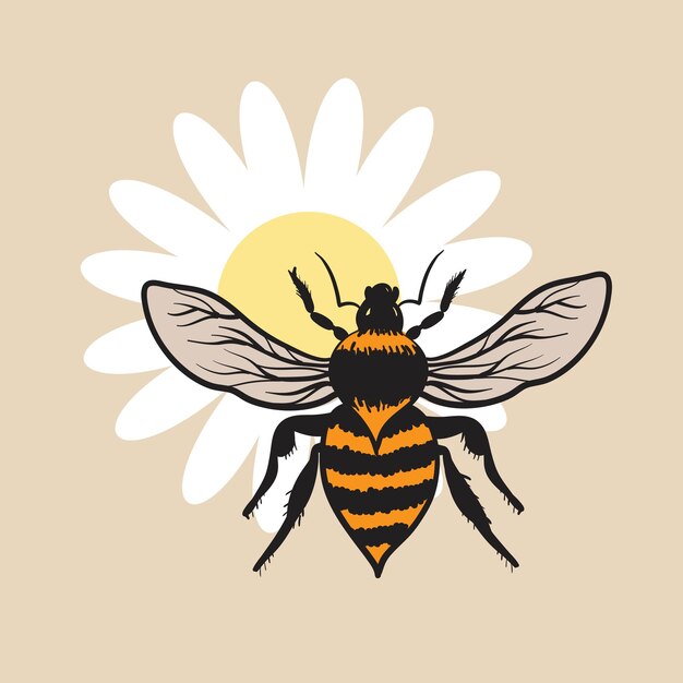 Vista superior de abeja dibujada a mano monocromática. ilustración vectorial