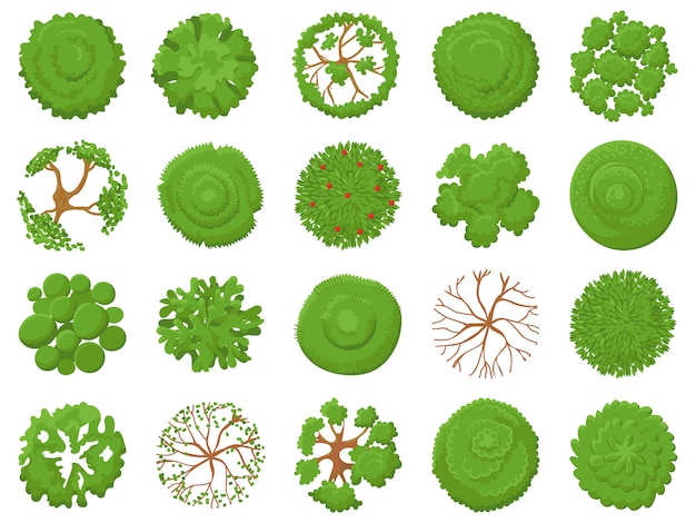 Vector vista superior del árbol. plantación de árboles verdes, vegetación del mapa del parque y mapas de bosques tropicales que se ven desde el conjunto de ilustración anterior