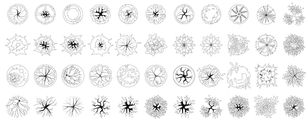 Vista superior de árboles y plantas conjunto de iconos de árboles incoloros para elementos de diseño arquitectónico y paisajístico