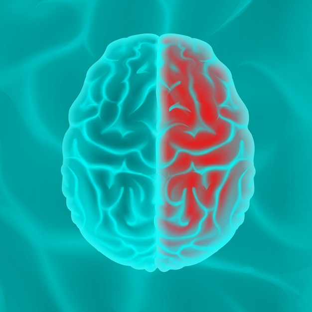 Vista superior del cerebro humano de color turquesa brillante cerrar aislado sobre fondo