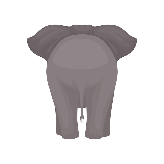 Vector vista trasera de un elefante de pie animal mamífero salvaje con piel gris orejas grandes y cola larga elemento gráfico para el cartel del zoológico ilustración vectorial colorida en estilo plano aislado sobre fondo blanco