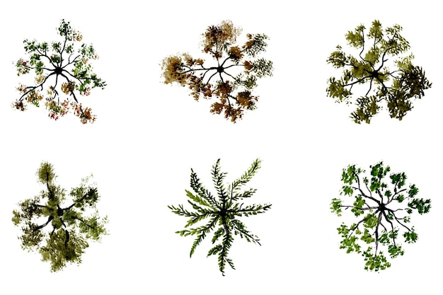 vista vectorial superior de árboles y arbustos ilustraciones vectoriales conjunto de elementos de paisaje para parque de jardín