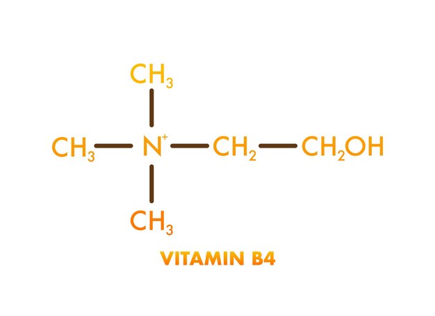 Vitamina b4 Vitamina B4 Estructura del icono Ilustración vectorial