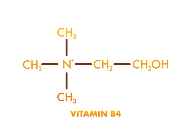 Vitamina b4 vitamina b4 estructura del icono ilustración vectorial