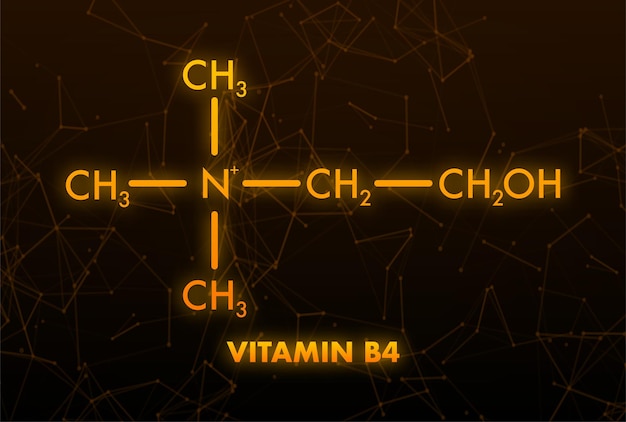 Vitamina b4 Vitamina B4 Estructura del icono Ilustración vectorial