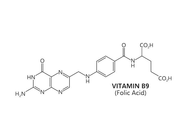 La vitamina B9 o ácido fólico tiene una fórmula molecular
