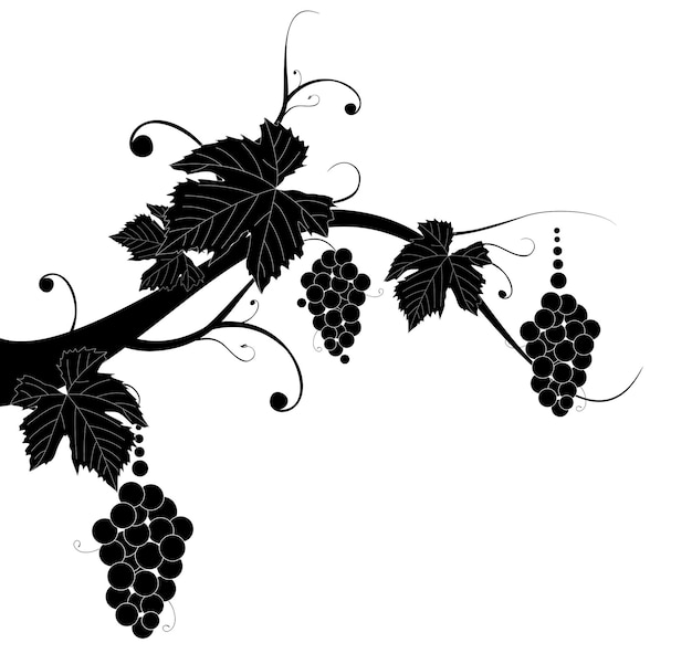 viticultura