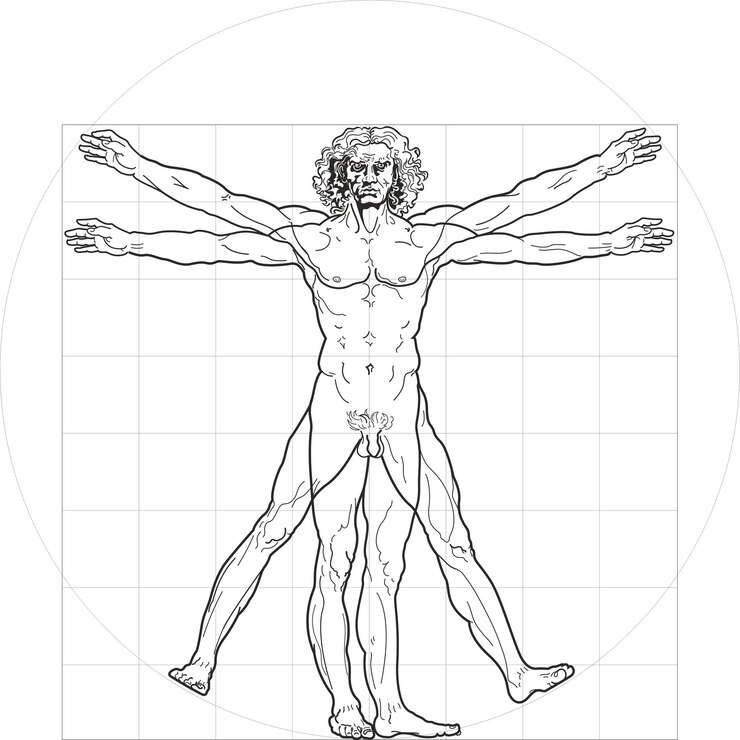Vector vitruvian man vector cuerpo humano famosas ilustraciones de dibujo de leonardo da vinci