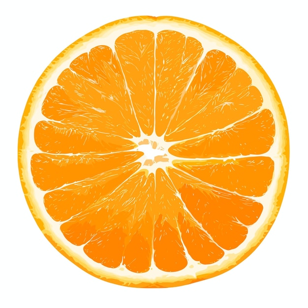 Vivid Citrus Dreams Arte de diseño vectorial