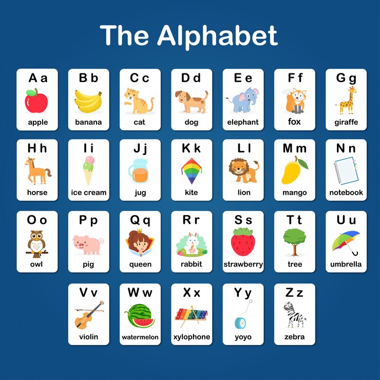 Vector vocabulario y alfabeto en inglés a - z flash card para niños para ayudar a aprender y educar en el jardín de infantes