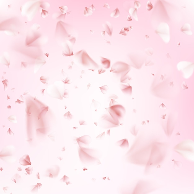 Volando pétalos de sakura.