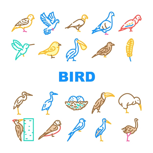 Vuelo de aves y huevos en iconos de nido conjunto Vector tucán y águila grúa y pelícano gorrión y cigüeña vuelo pájaro colibrí y pájaro carpintero vida silvestre en la naturaleza ilustraciones en color