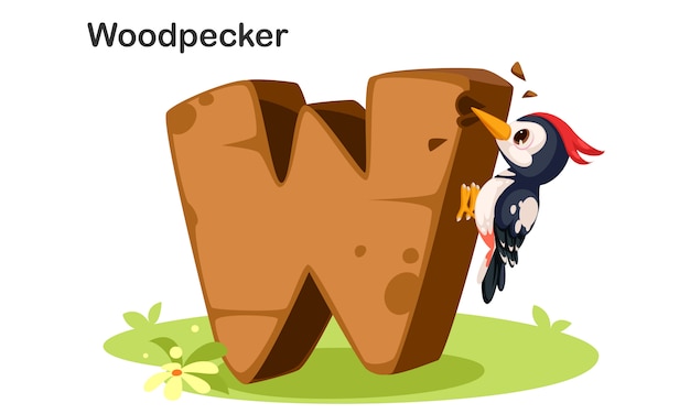 W para woodpecker