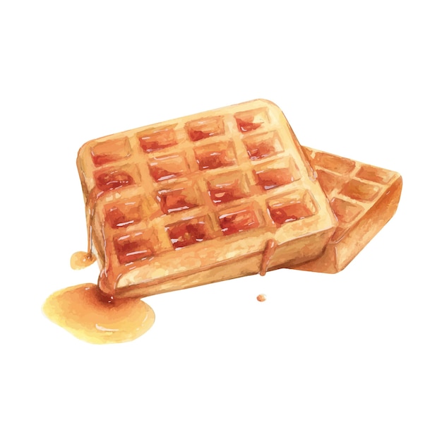 Waffles belgas miel acuarela dibujo liege pastel dulce panadería sabroso postre ilustración pastelería