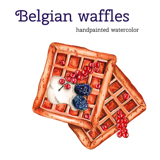 Waffles belgas