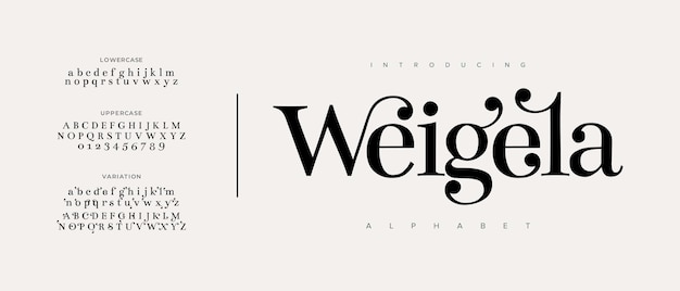 Weigela elegante fuente mayúscula minúscula y número letras clásicas diseños de moda mínimos tipografía