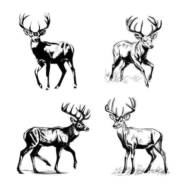 Whitetail Buck pose dinámica simple gráfico de dibujos animados vector arte pegatina negro sobre fondo blanco