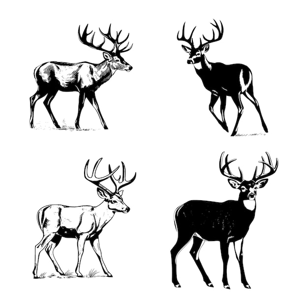 Whitetail Buck pose dinámica simple gráfico de dibujos animados vector arte pegatina negro sobre fondo blanco