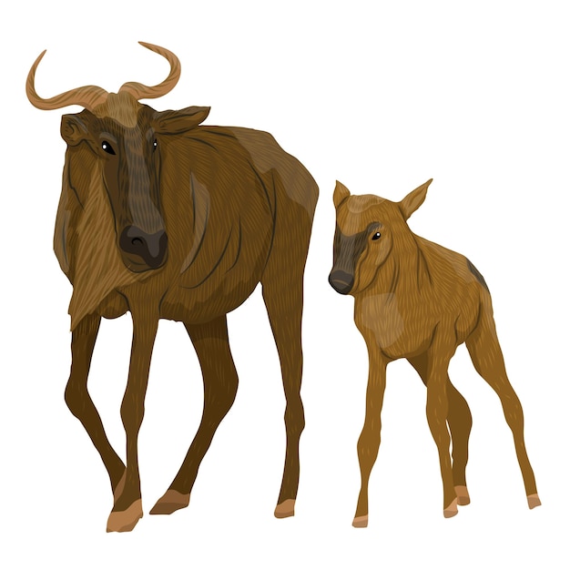 Vector el wildebeest gnu africano y su bebé animales vectores realistas