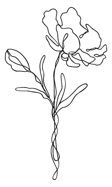 Wildflower_line_art_por_rachelfcreative