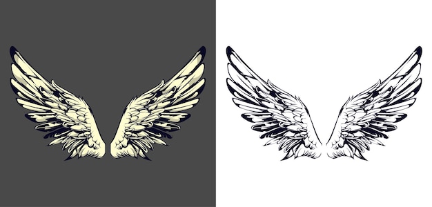 WING_1 (en el caso de los aviones)