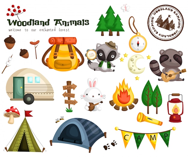 Woodland animal camping