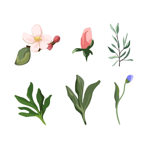 XAColección de Flores