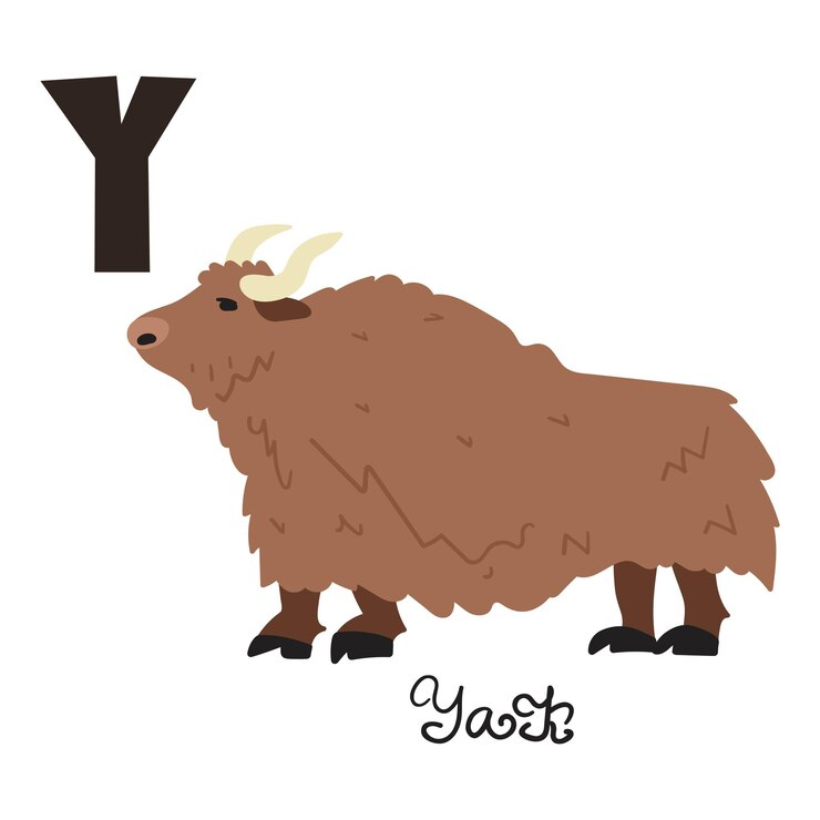 Vector yak. letra y. ilustración dibujada a mano plana sobre fondo blanco.
