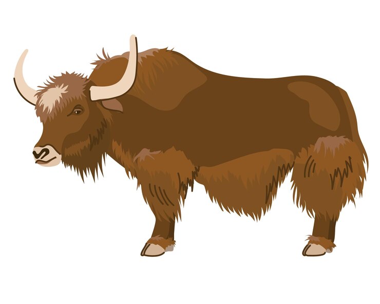 Vector un yak marrón con un abrigo largo una mascota en nepal y el tíbet estilo de dibujos animados vectoriales ganado lechero vaca grande