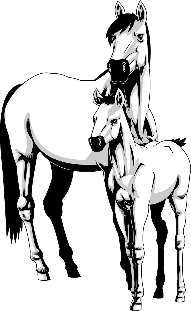 Vector yegua y potro caballo diseño gráfico vector dibujado a mano ilustración