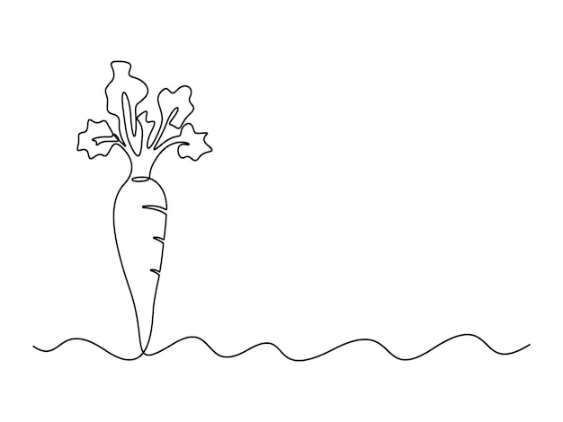 Vector zanahoria en un dibujo de línea continua de la ilustración vectorial de zanahoria