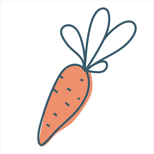 Vector zanahoria en estilo garabato raíz madura verduras de otoño gráficos vectoriales aislados sobre fondo blanco