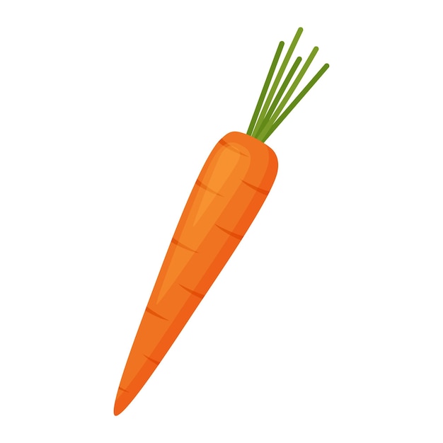 Zanahoria, ilustración vectorial