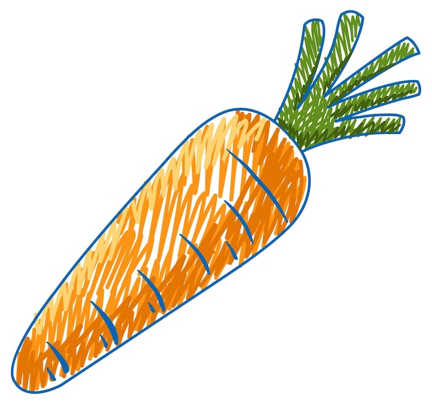 Zanahoria lápiz color niño estilo garabato