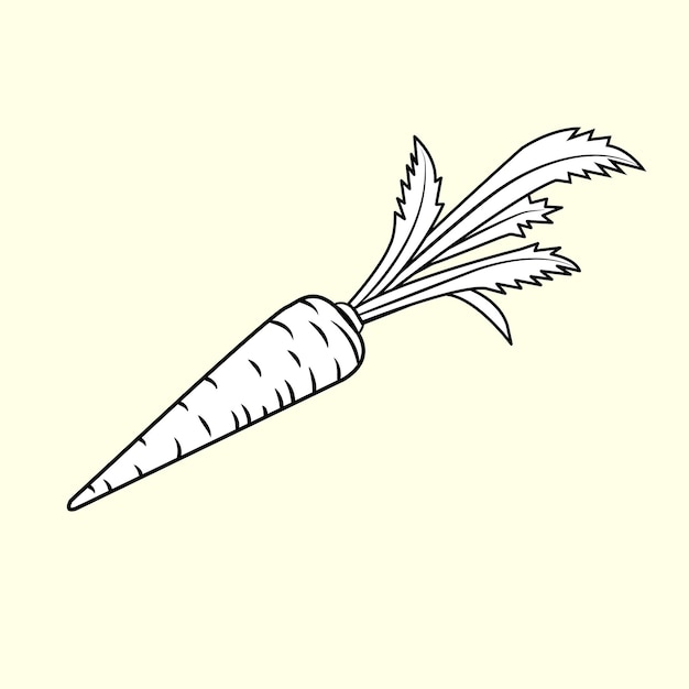 Zanahoria