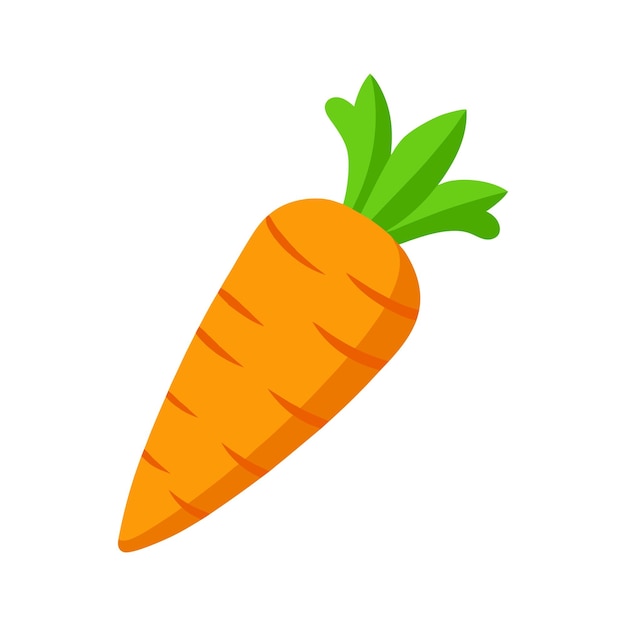 zanahorias de naranja frescas