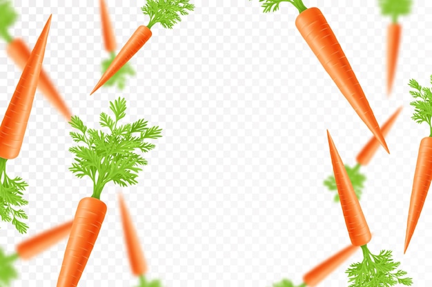 Vector zanahorias que caen aisladas en un fondo transparente vegetales voladores enteros y en rodajas con efecto borroso se pueden usar para publicidad, empaques, pancartas, carteles, impresión, diseño realista en 3d