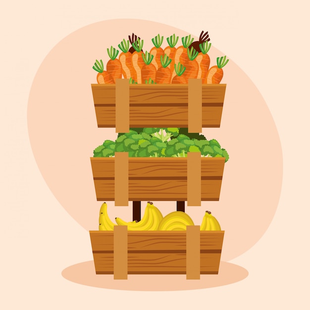 Vector zanahorias saludables con zanahorias y plátanos vegetales