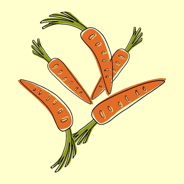 Vector zanahorias