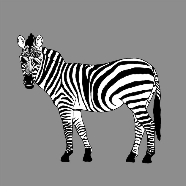 Zebra con gafas de sol, diseño de ilustraciones vectoriales