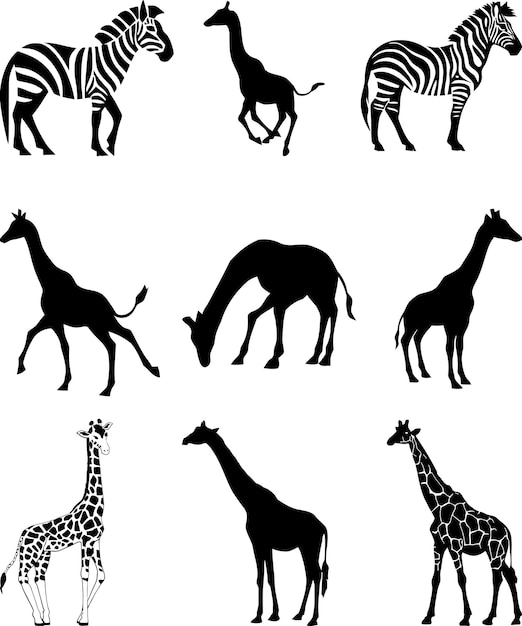 La zebra salvaje de la armonía y el dúo de siluetas de la jirafa