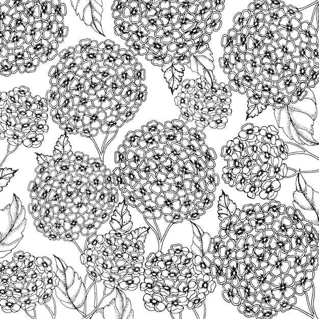 Zentangle floral doodle página para colorear para adultos. libro para colorear antiestrés. hortensia