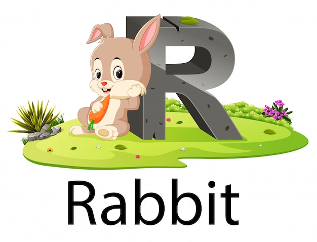 Zoo animal alfabeto r para conejo con la buena animación.