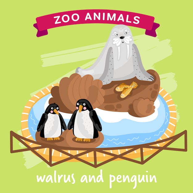 Vector zoo animal, morsa y pingüino