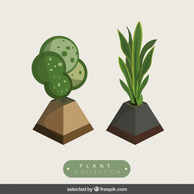 Vector Gratis 3d hand drawn plants pack