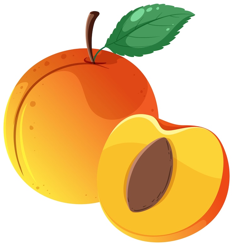 Vector Gratis a full of peach and half of peach