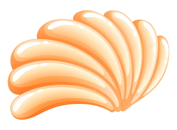 Vector Gratis a seashell